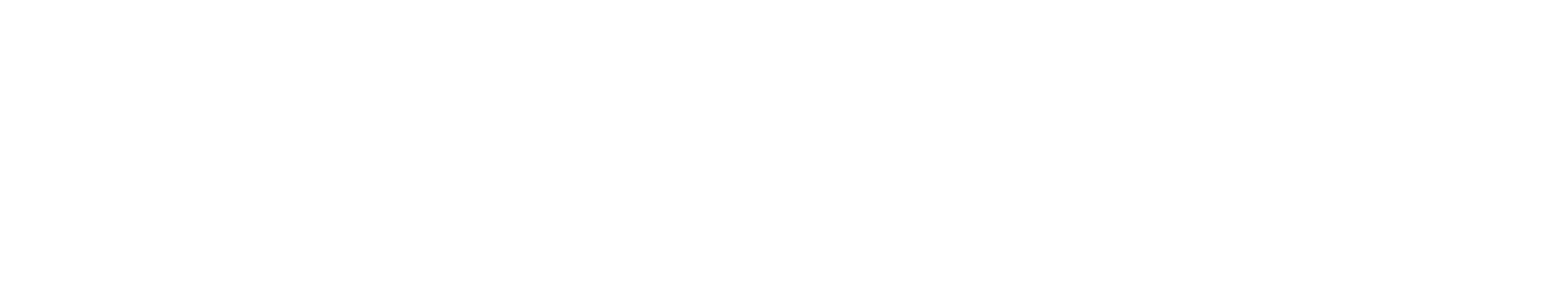 X-Felt logo