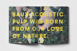 Download the Acoustic Pulp catalogue