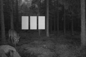 Into the wild: A photographic experiment by Jonas Lindström and BAUX