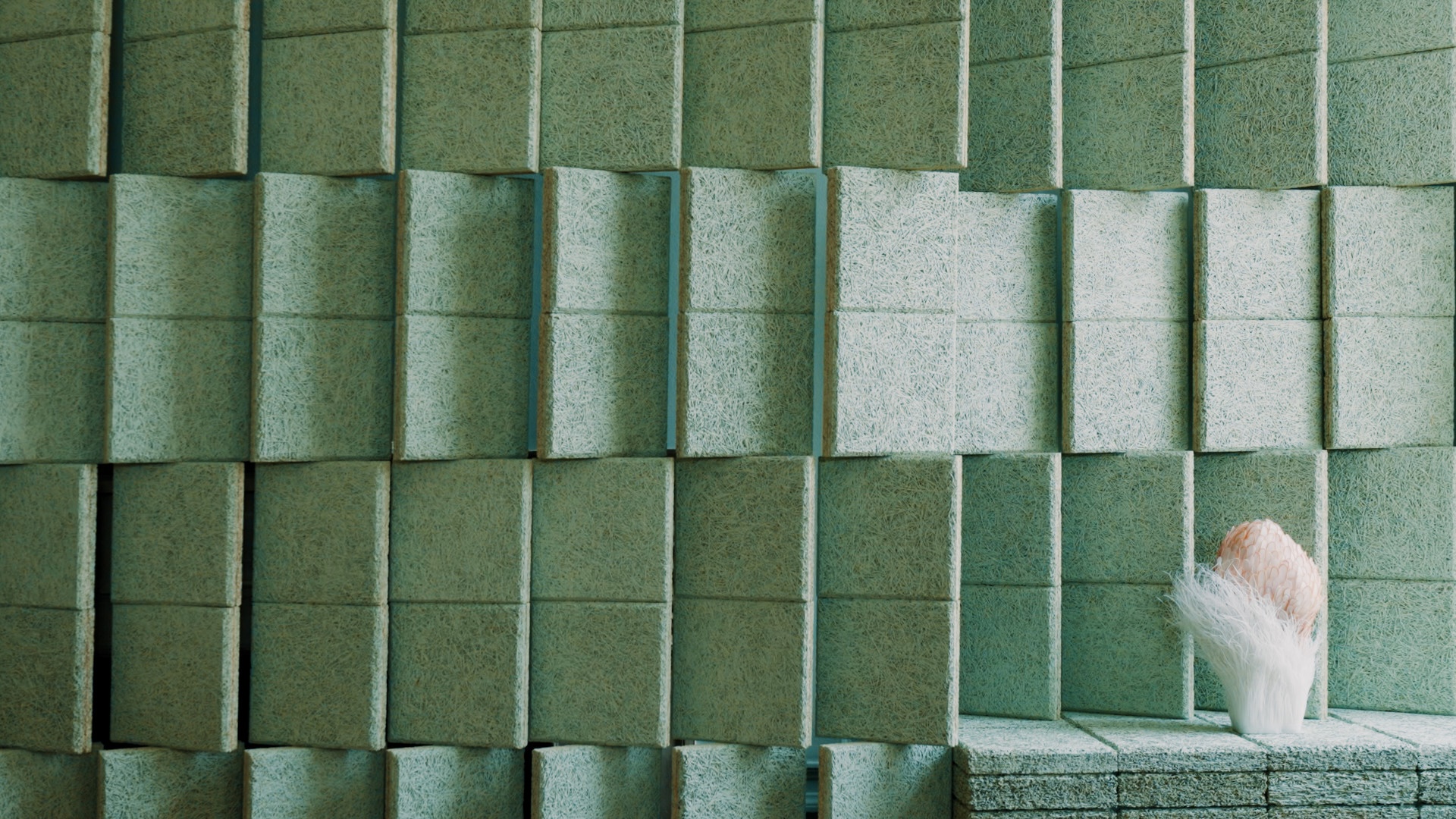 Wood wool material - Installation in Somerset House