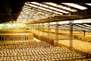 Fossil-fuel phase-out with biomass