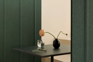 Explore the Felt Recycled PET material
